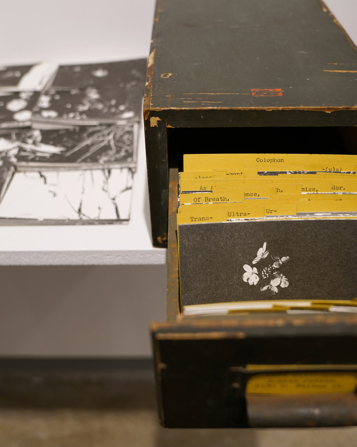 Portrait of Slight Fictions