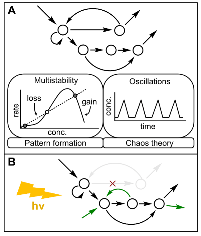 Illustration of Chemical Reaction Network Kinetics