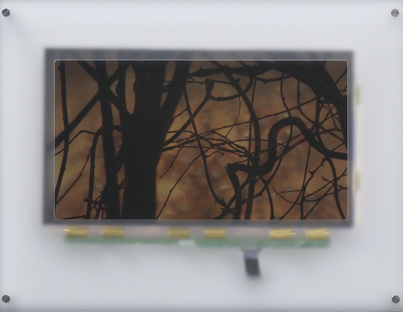 States of Being Perseverance States of Being Perseverance